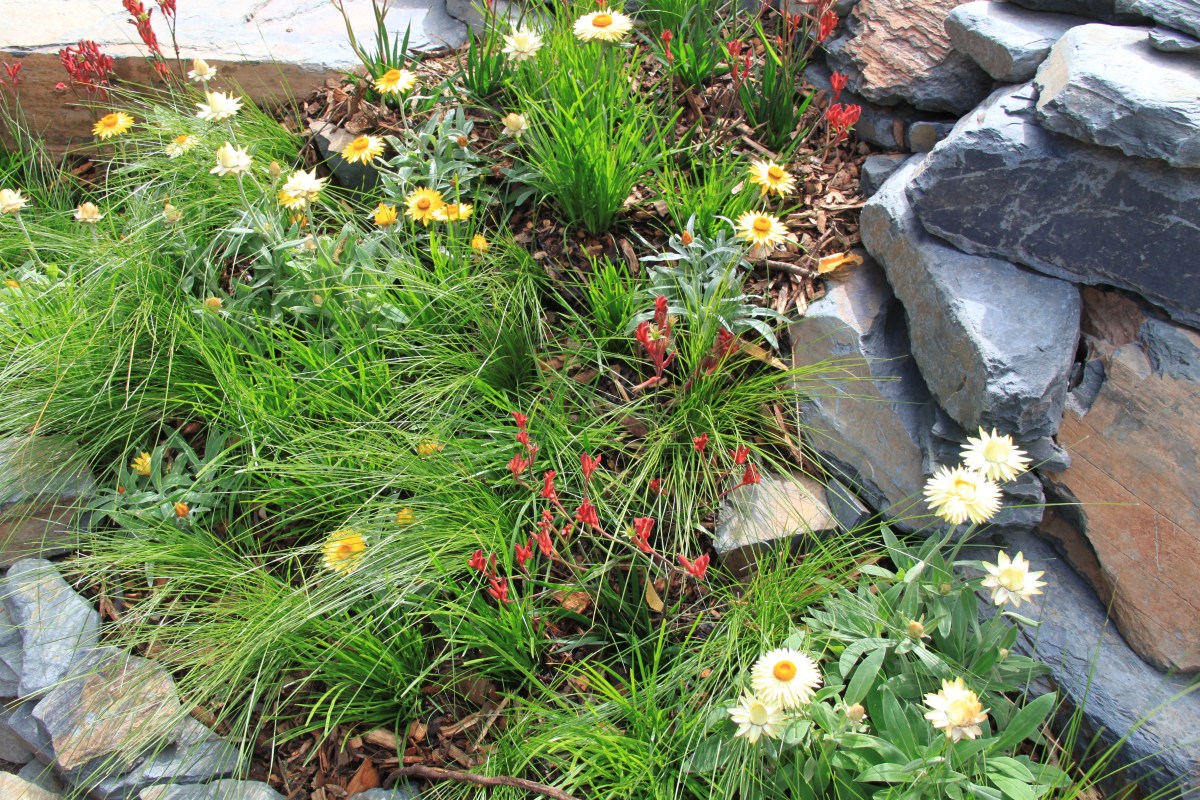 EOS 23 April 2012 019