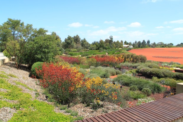Botanic Garden - Cranbourne 