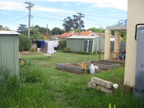 Garden - before