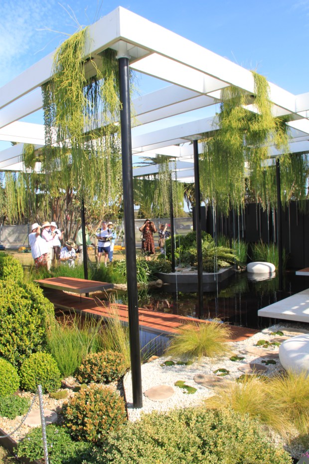 Brendan Moar Suspended