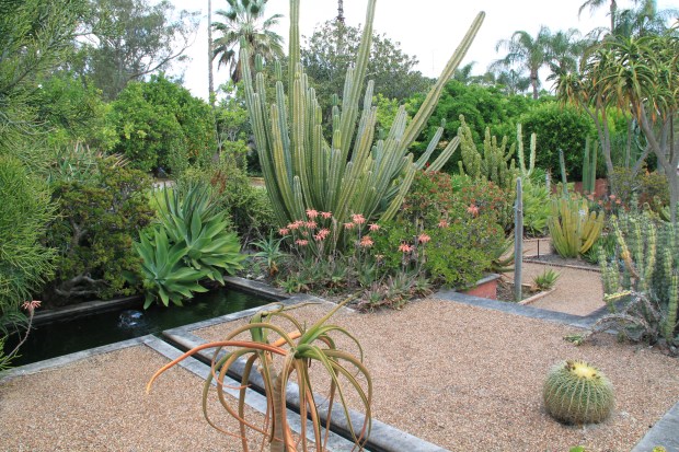 'Reveries' cactus and succulent garden