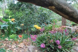 Bill Fleming's colourful 'Elegans'