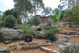 Australian native garden