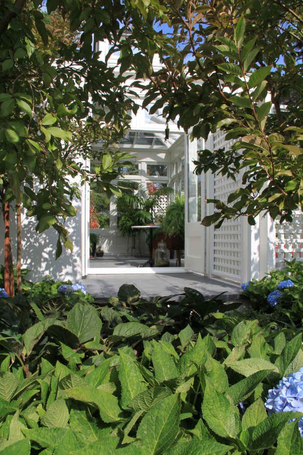 'The Gardener's Library - Aspiration'