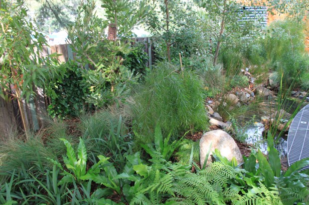 Philip Johnson planting