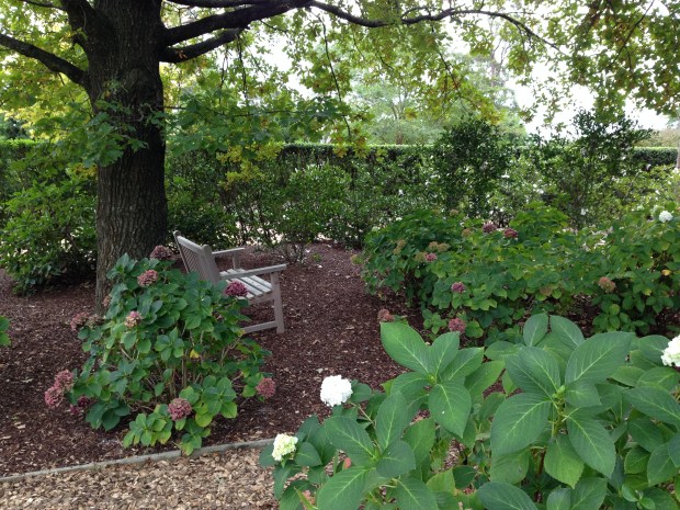 Frankly, a garden can never have too many hydrangeas, especially in a peaceful setting like this