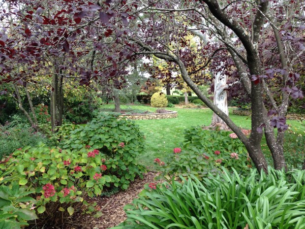 Woodland areas with thriving plantings and winding pathways