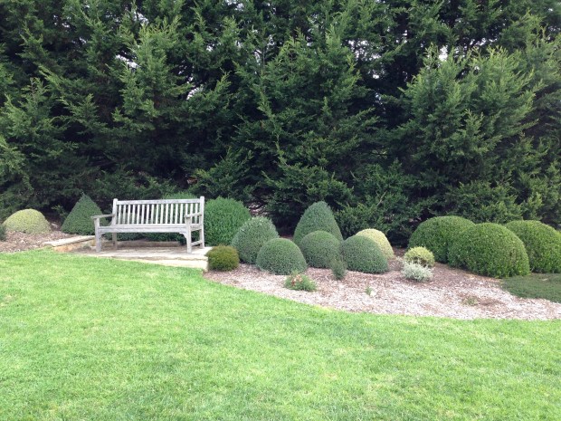 Simple topiary at Oldbury Farm