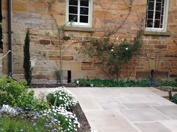 Climbing roses are the perfect choice to clad these old stone walls