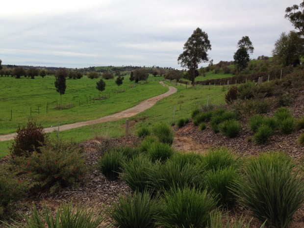 Native grasses and shrubs gently tie garden to the surroundings