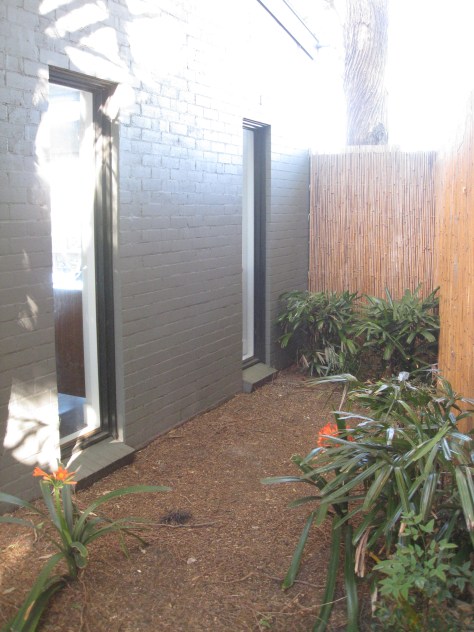 A garden suffering from soil depletion due to a nearby gum tree