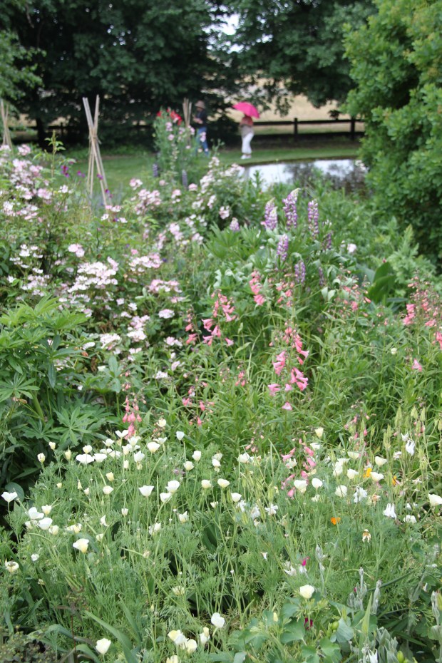 Bowylie cottage plantings