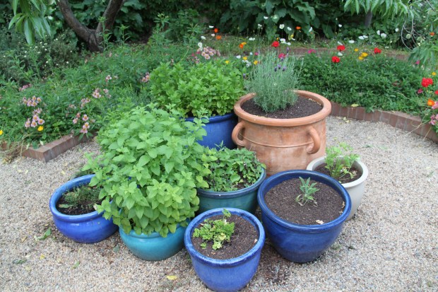 Bowylie Herb Garden