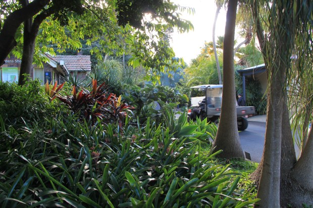 Royal Botanic Garden Sydney