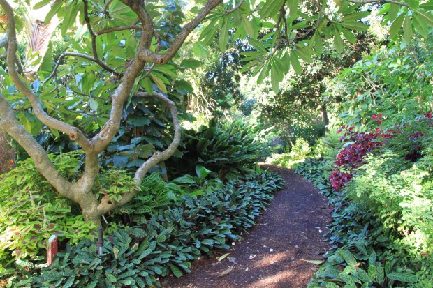 Royal Botanic Garden Sydney
