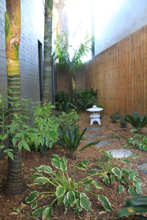 Tropical Japanese garden in Sydney