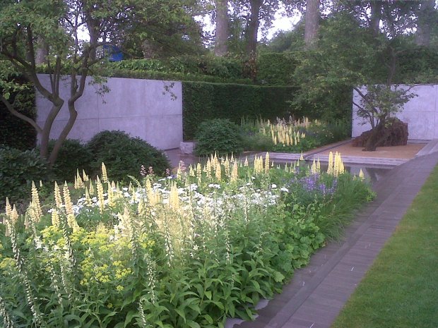 Chelsea Flower Show - Laurent Perrier by Luciano Giubbilei
