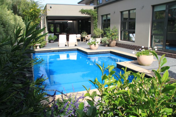 Poolside contemporary garden