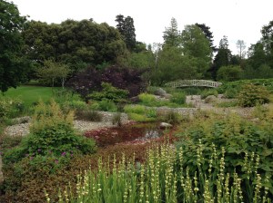Bog garden at Woburn Abbey gardens