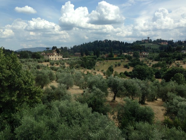 Looking out to the hills beyond the Boboli Garden in Florence