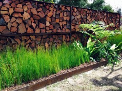 Lush grasses broken by interesting ferns