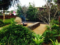 Christopher Owen's 'Tread Lightly'