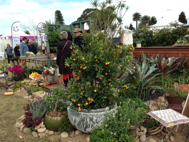 Andrew Davies 'My Garden Studio'