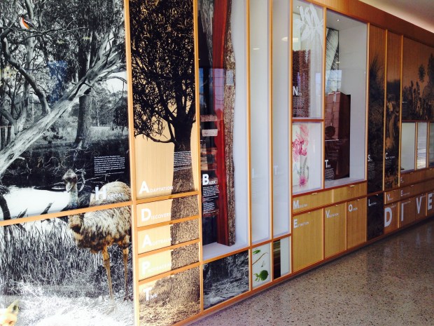Beautiful, informative, fun displays telling the story of the Australian PlantBank