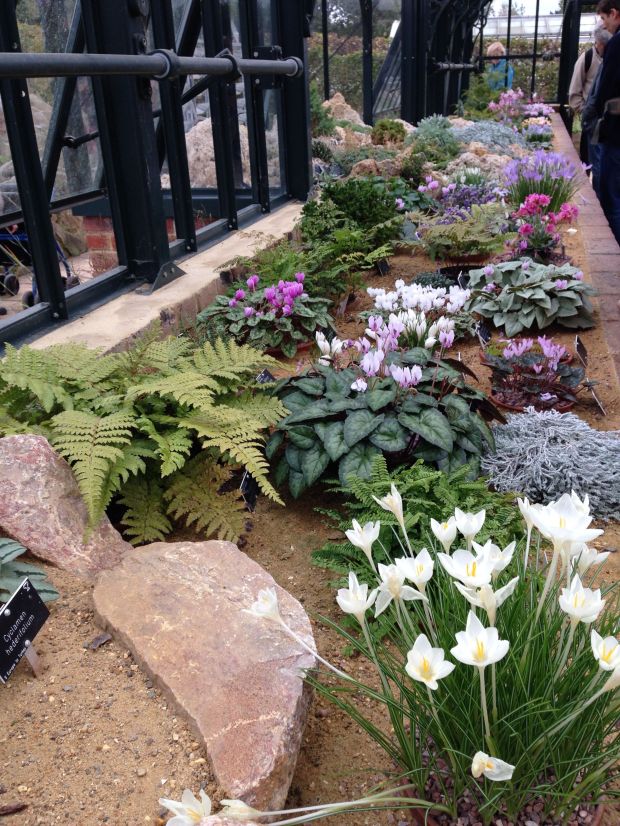 The Alpine Garden at Wisley