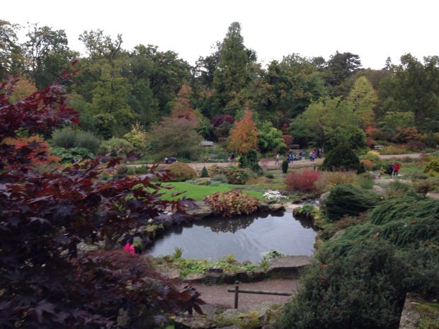 Autumn Colours at Wisley