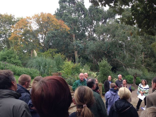 Large Eucalyptus trees were lovely to see