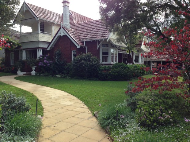 One of the beautiful gardens I see on my walks around my suburb