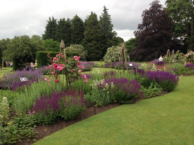 Repeated use of purple Salvia ensures the overall look is unified. Cambridge University Botanic Gardens 
