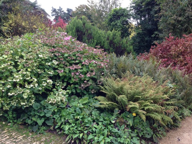 Large scale mixed borders at Hidcote