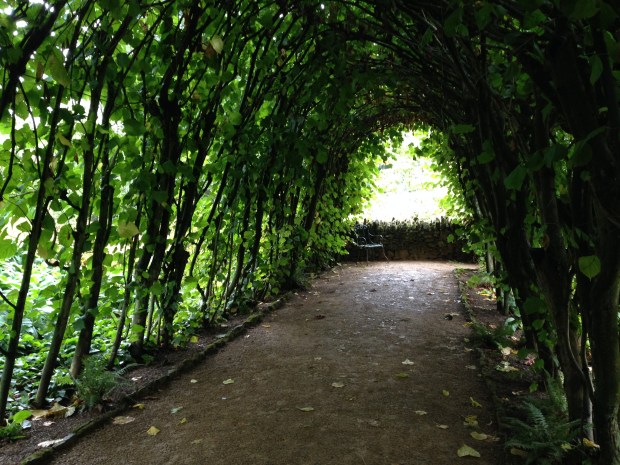 The Lime Walk at Hidcote