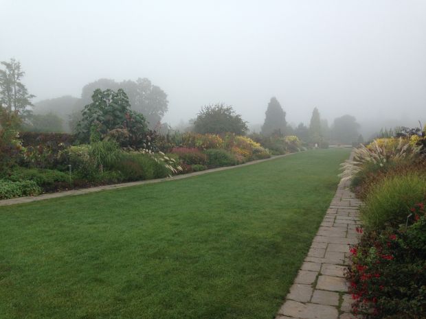 It is rare that you have the Long Borders at Wisley to yourself, even if I could hardly see from one end to the other!