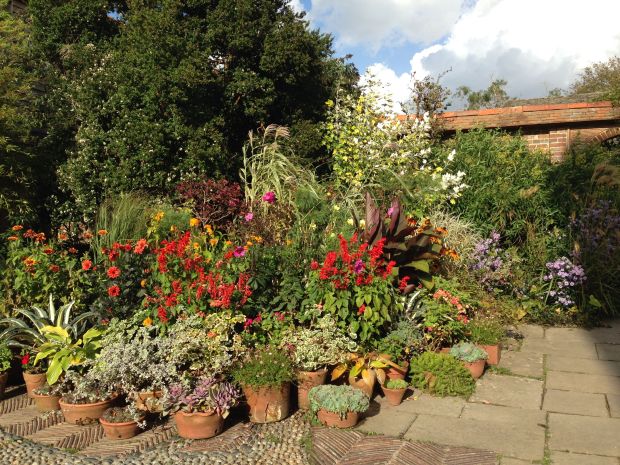 More mixed potted plants at Great Dixter