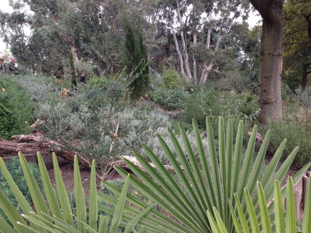 Mediterranean Garden at Wisley