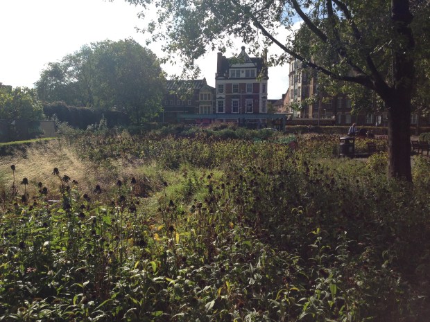 Serene Autumnal Piet Oudolf Plantings at Potters Field, London