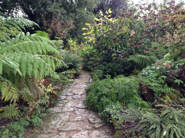 Shade loving natural planting at Hidcote