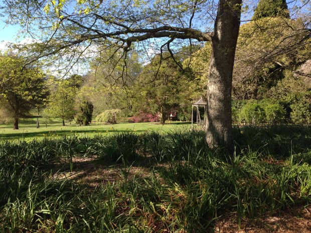 The approach to the garden at Retford Park