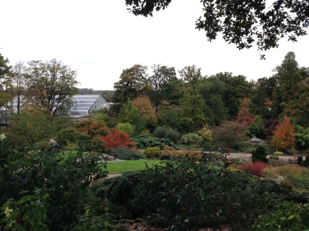 The main vista at Wisley - you can see the greenhouses in the background