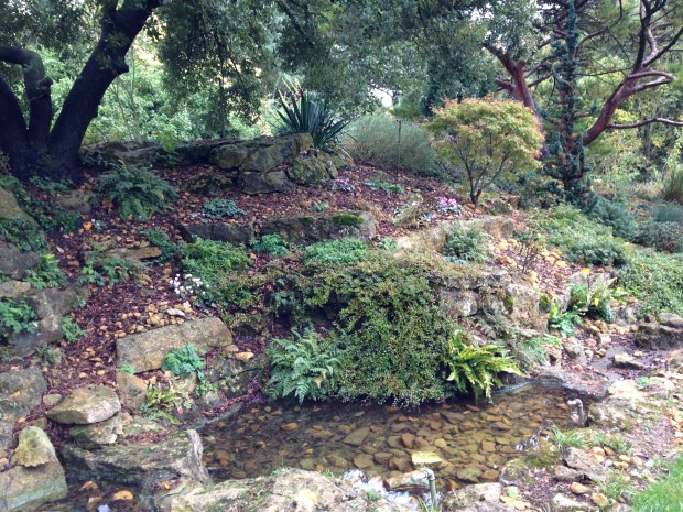 The Rock Bank at Hidcote with Cyclamen and poppies giving colour