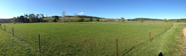 Panoramic view out from the garden at Retford Park. Photo: Matthew Laduzko