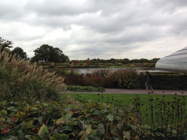 Thomas Stuart-Smith borders around the Glasshouse at Wisley