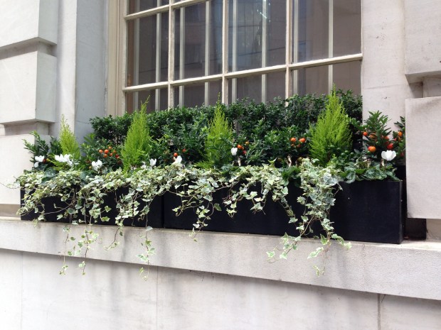 Window Boxes outside Office Building
