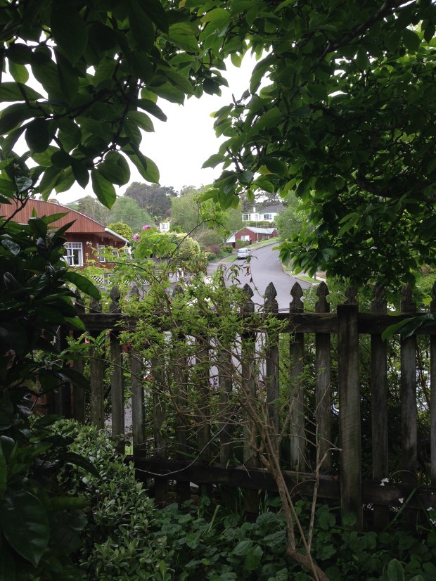 A glimpse from the garden to the suburban street at Te Kainga Marire