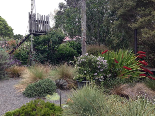 Abandoned fort at Te Kainga Marire