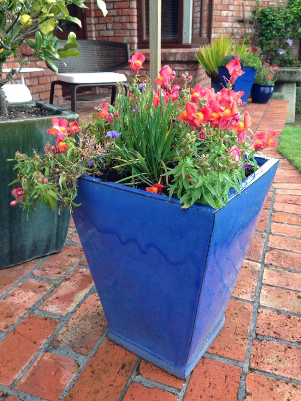 Colourful pots at Puketarata