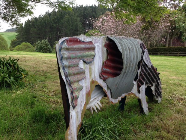 Jeff Thompson cow at Puketarata